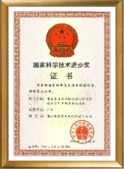 荣誉证书